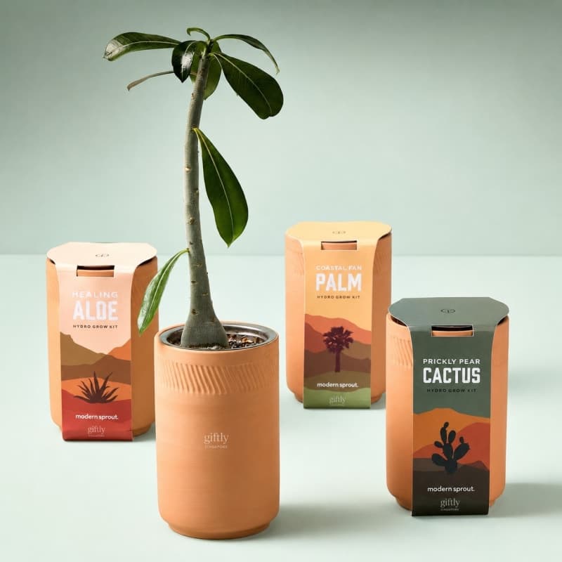 Giftly seasonal hydro grow kit gift set