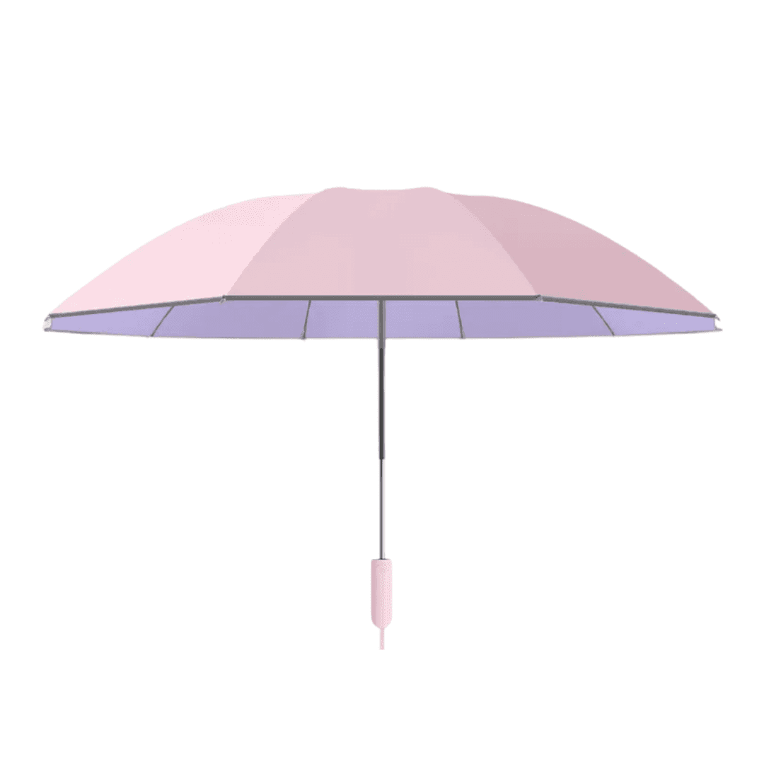 DuplexGuard R10 — 10‑Rib Auto‑Reverse Travel Umbrella