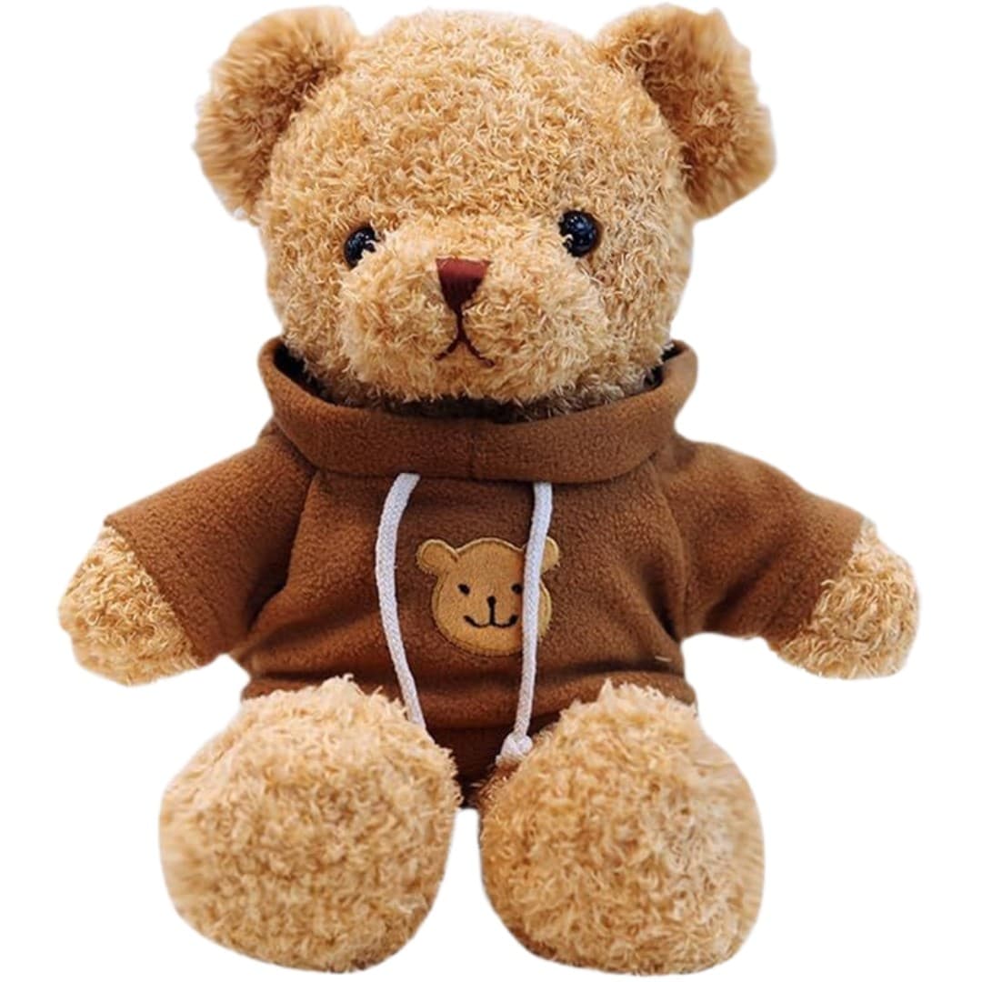 Custom Plush Teddy Hoodie